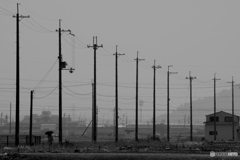 電柱と新幹線の風景