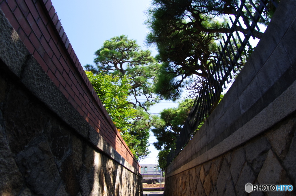 路地