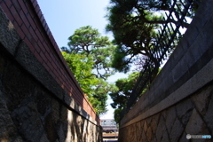 路地