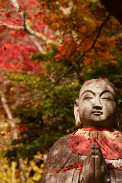 祈り 晩秋