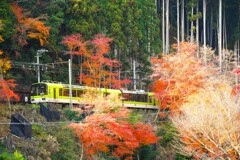 red ＆ green