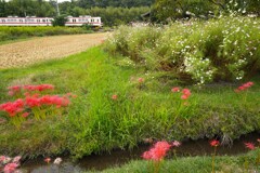 里山の秋