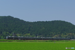 近江米を育む