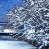 雪の花