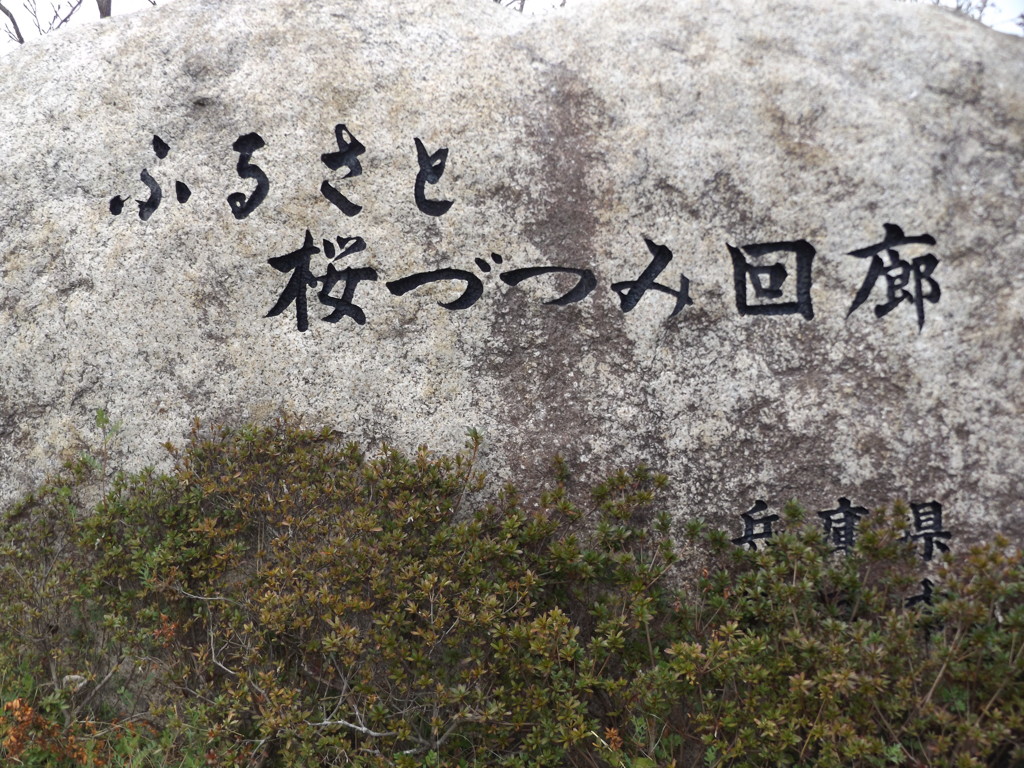 ふるさと桜づつみ回廊