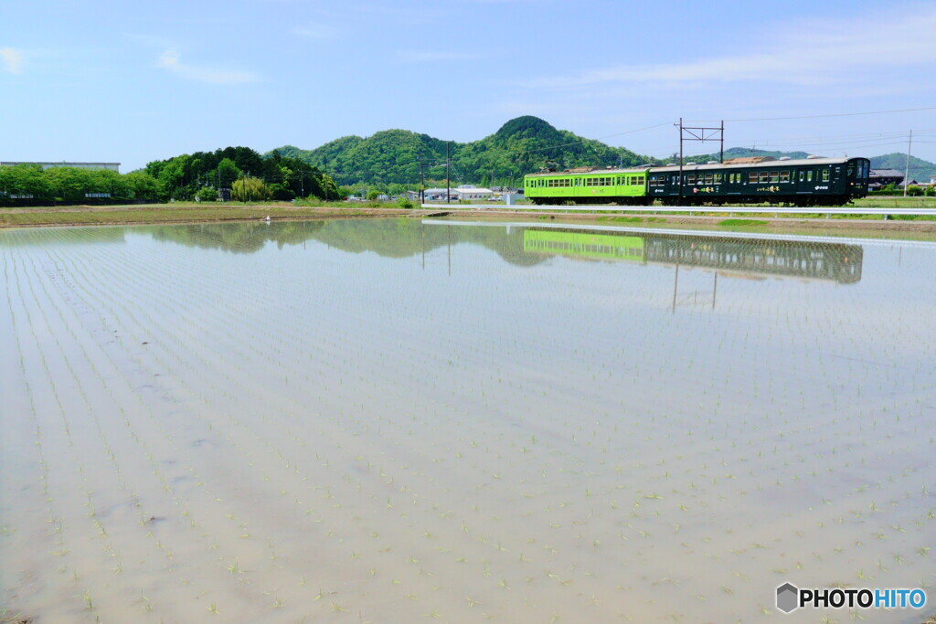 田植が終わって