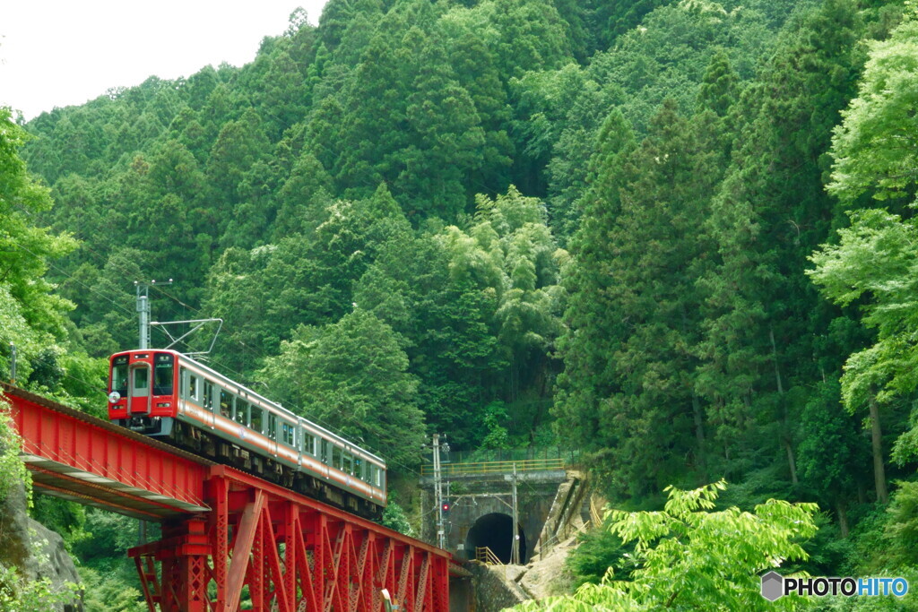赤鉄橋と新緑