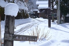 雪帽子