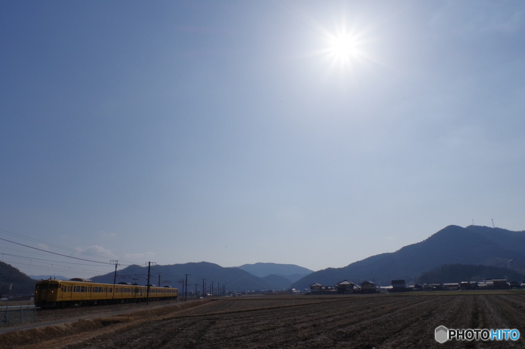 単焦点15㎜試し撮り