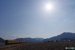 単焦点15㎜試し撮り