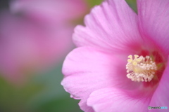 絞り優先モードという選択