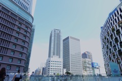 嘗てライバル、今チームメイト