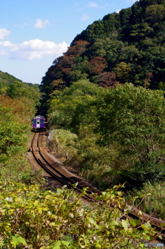 伊賀越えの鉄路