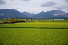 三岐鉄道「葉月①」