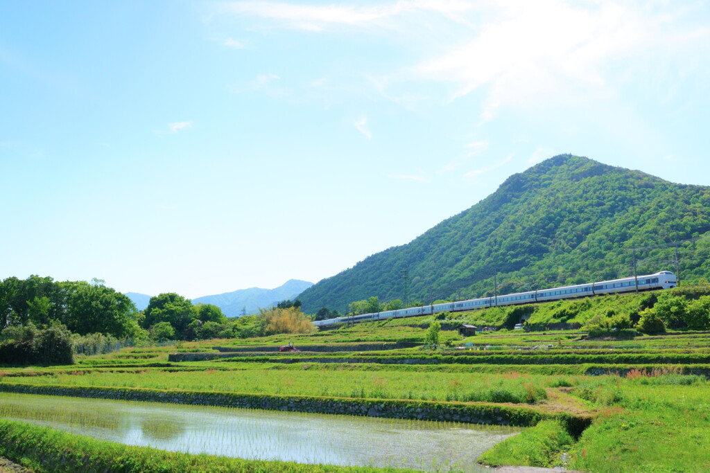 田植の頃