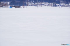 雪原のふたり