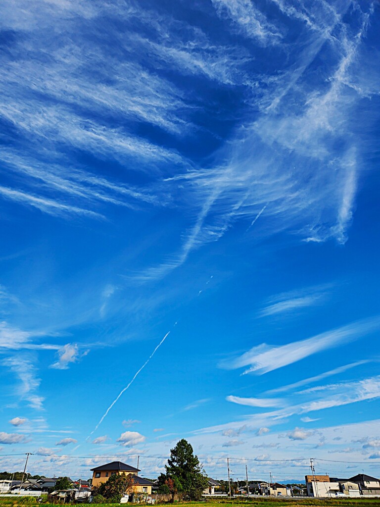 見上げれば秋空