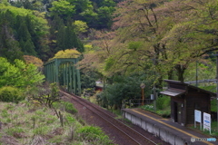 桜の散った駅