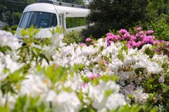 線路端にツツジ咲く頃
