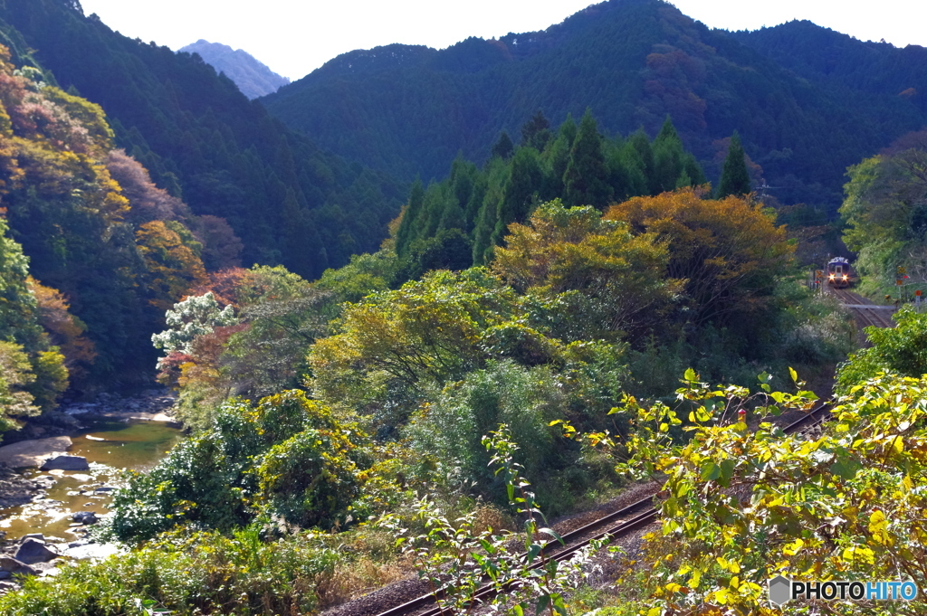 伊賀越えの鉄路