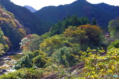 伊賀越えの鉄路