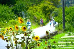 夏休みのひとコマ