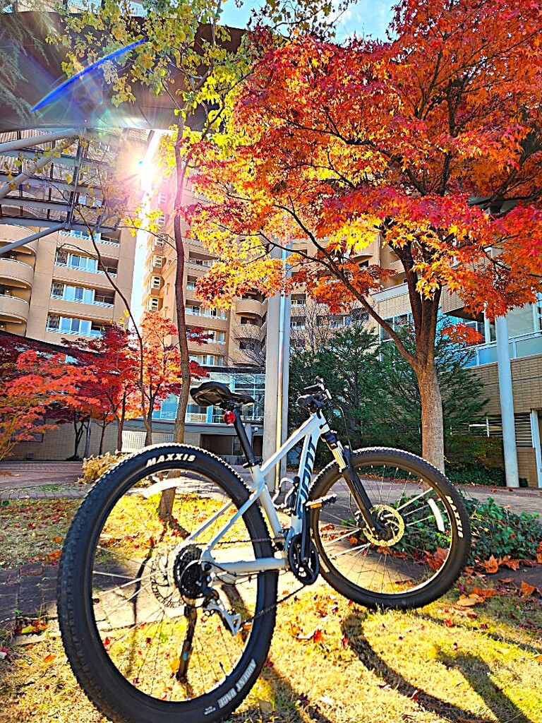 師走のＲｉｄｅ　相棒ポートレート