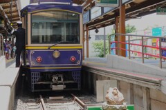 無事「カエル（帰る）」