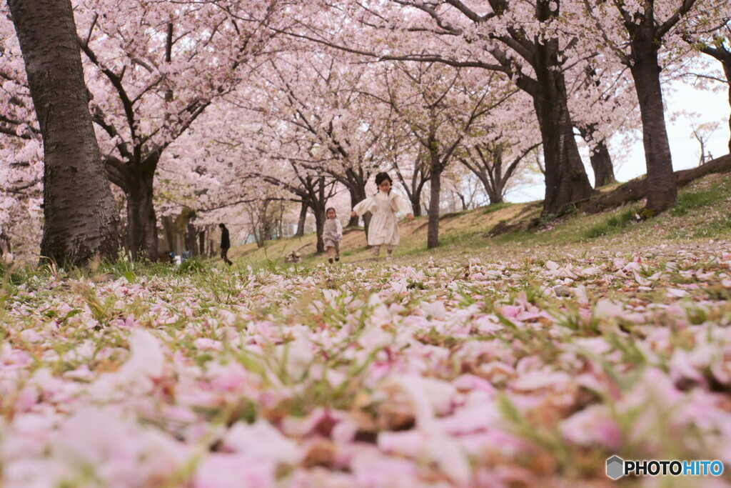 桜回廊でかけっこ
