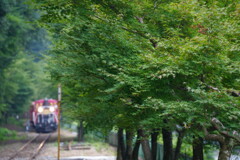 トロッコが来た
