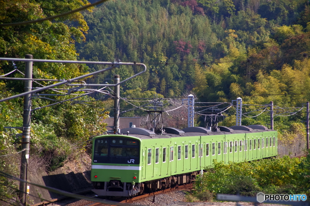 大和路色