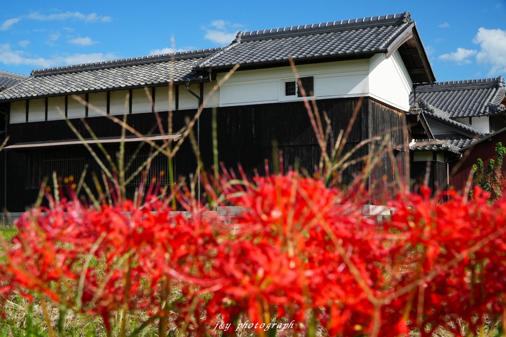 秋の里山