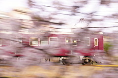 桜沿線