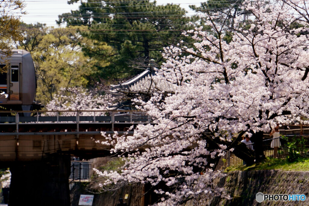 桜夙川　鉄道風景　その1
