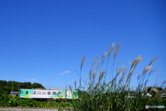 播磨路　すすき①
