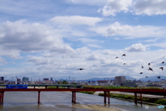 大和川　秋の風景