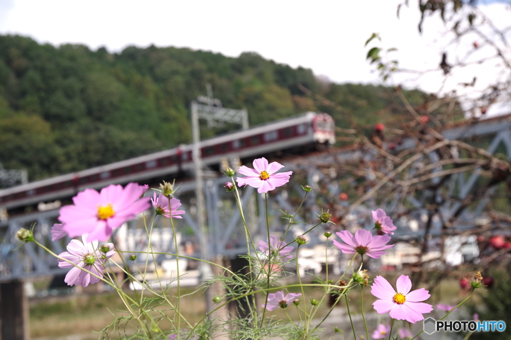 吉野川　秋