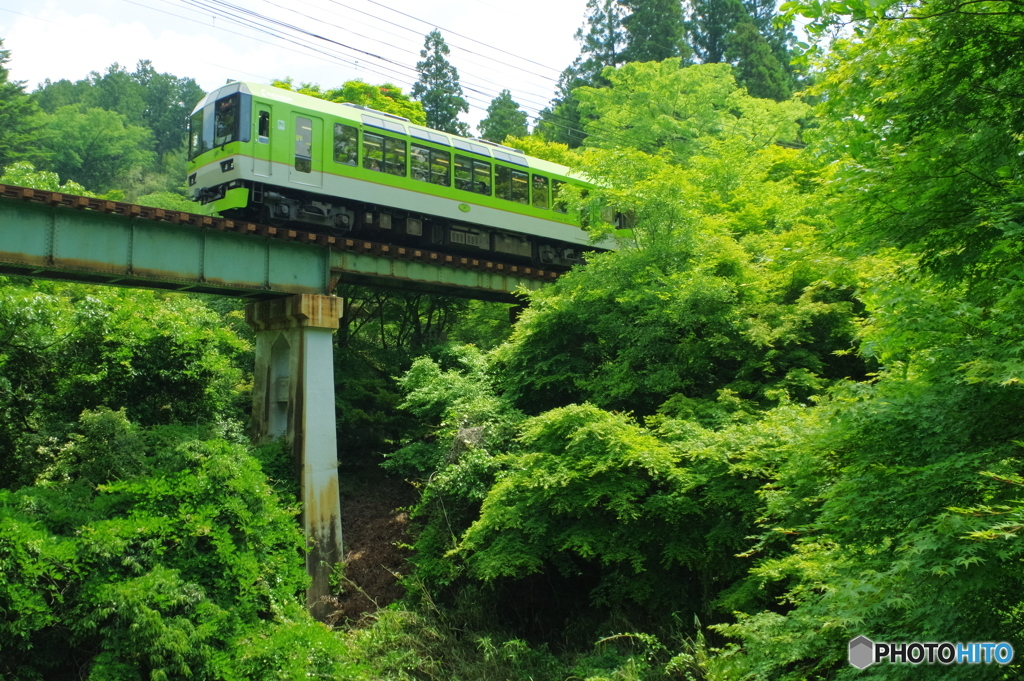 green＆green