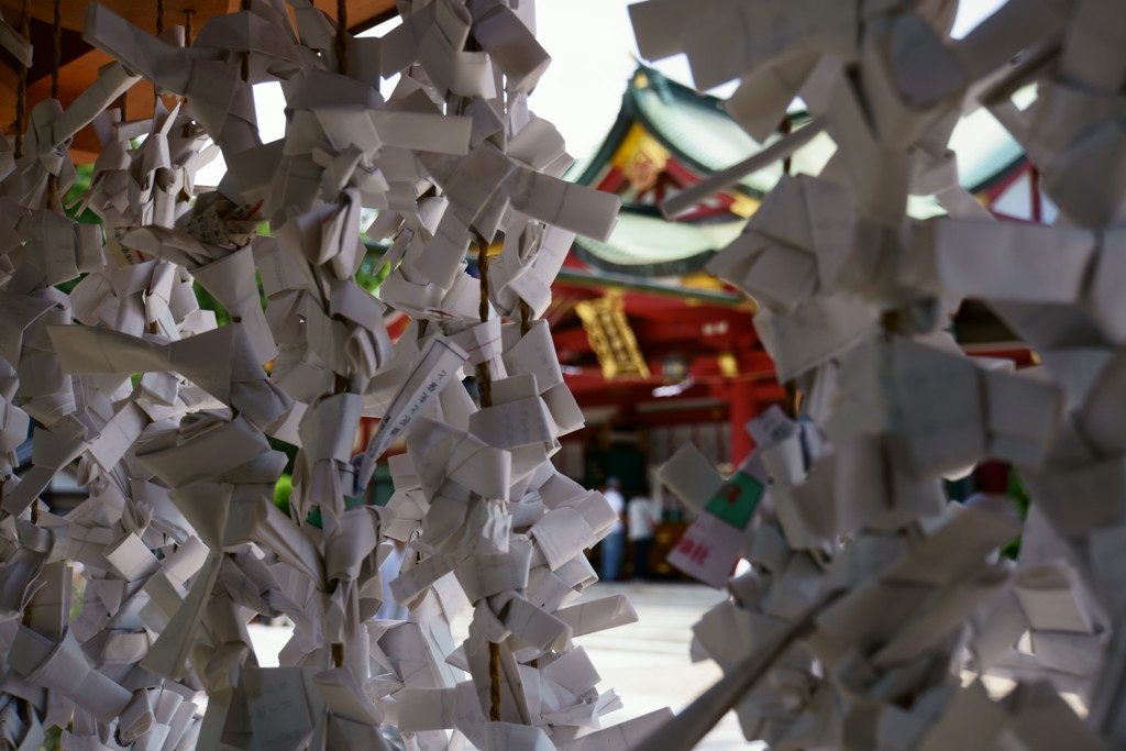 西宮えびす神社「運勢」