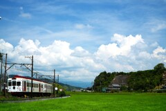 実りを待つ夏の里山風景