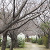 定点観測3/28①　