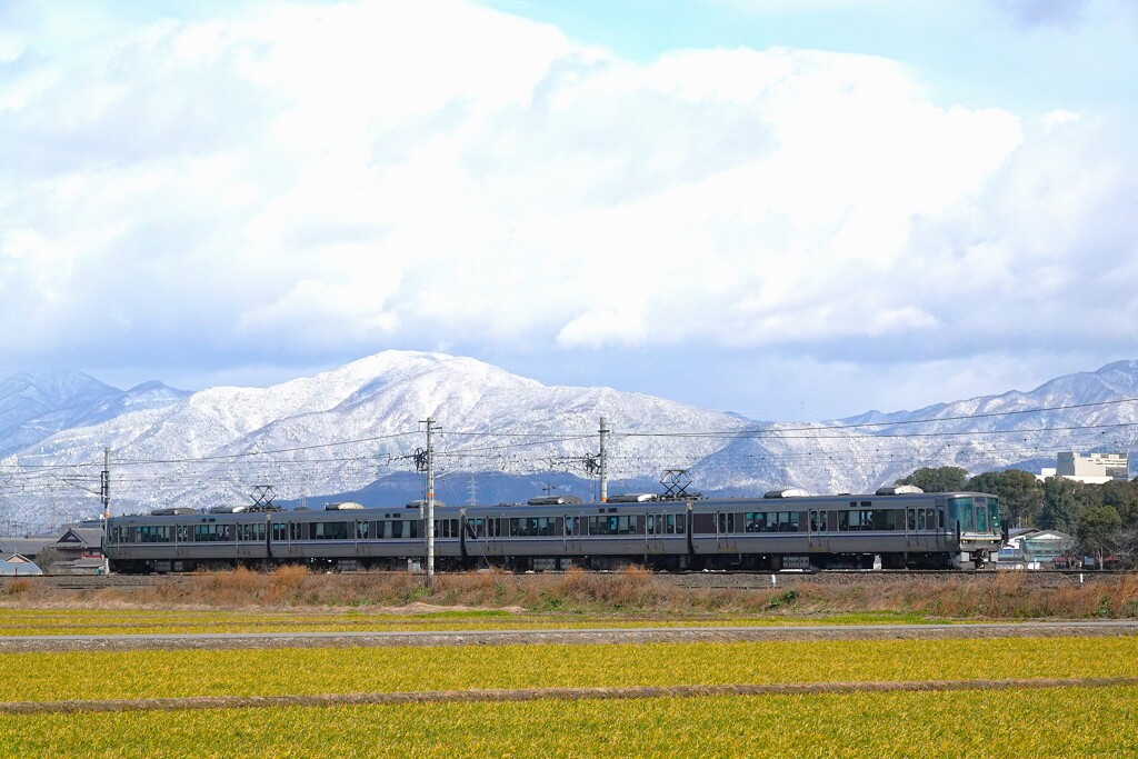 白い山と緑の畑