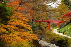 高野山極楽橋