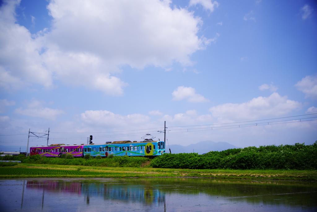 近江鉄道「水無月➁」