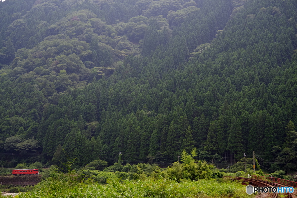 深緑の鉄路    1