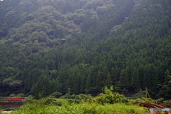 深緑の鉄路    1