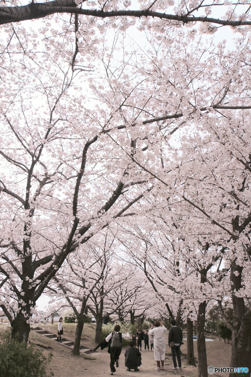 思い出作り