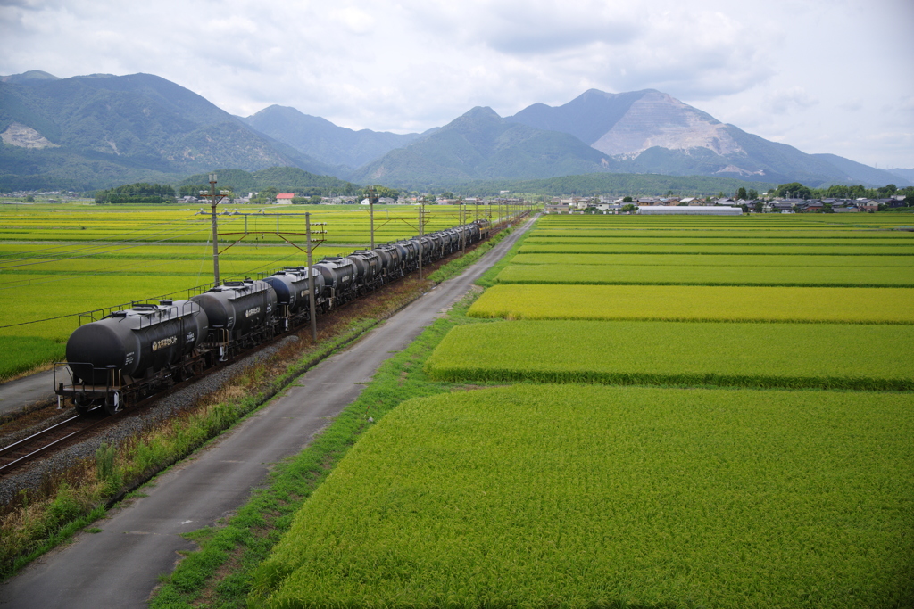 三岐鉄道「葉月③」