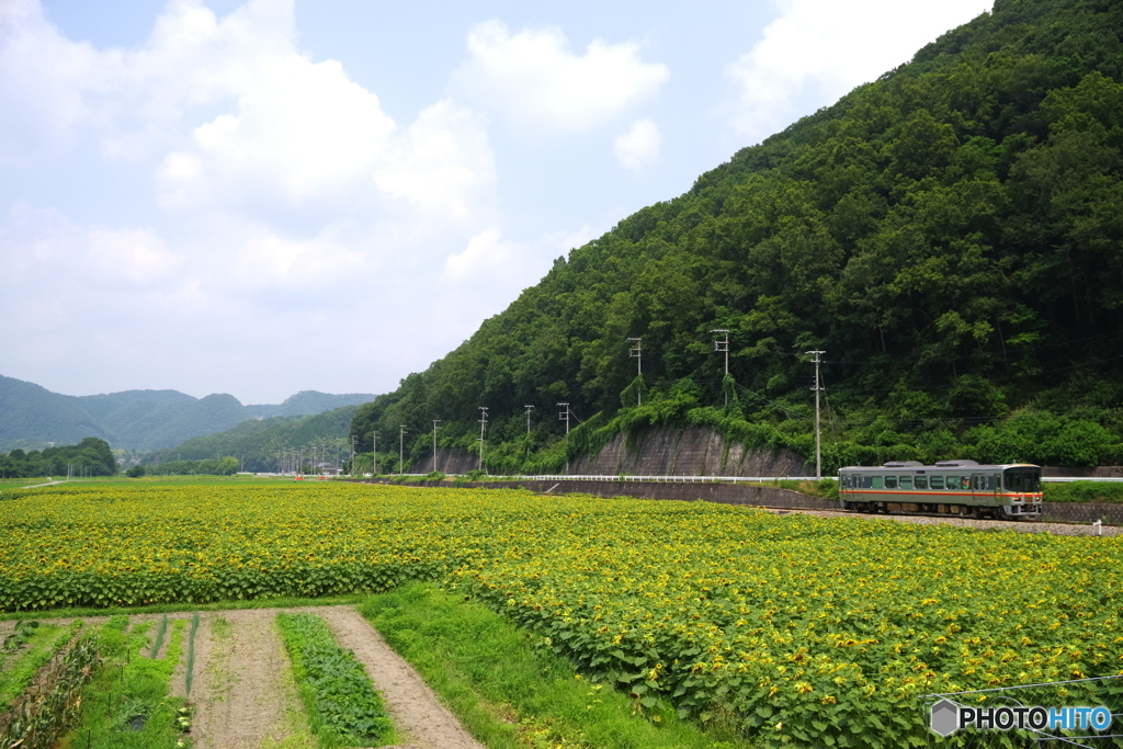 佐用町　文月