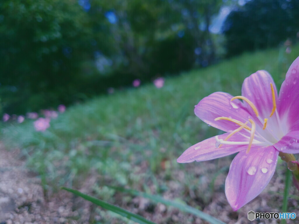 雨あがり